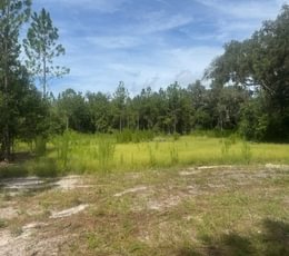 492 IMG 1876