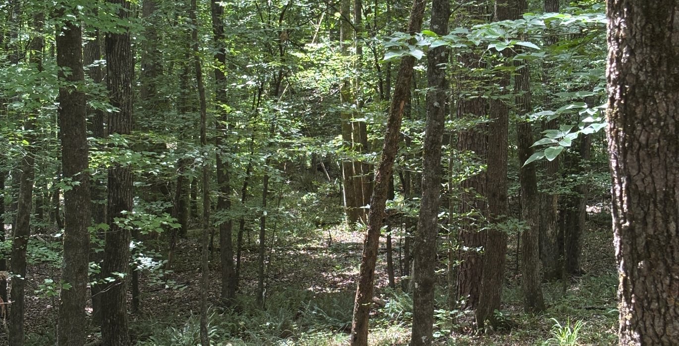 493 IMG 4022