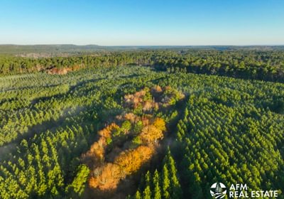 494 DJI 20250201074520 0038 V