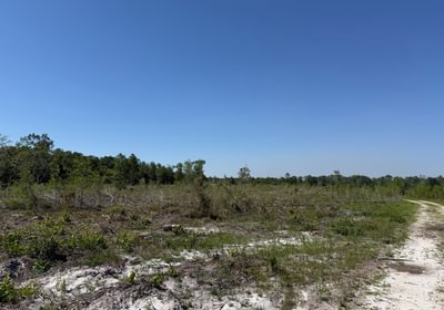 494 IMG 1813
