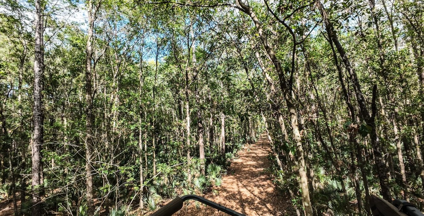 495 DJI 20250516231103 0066 D