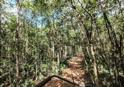 495 DJI 20250516231103 0066 D