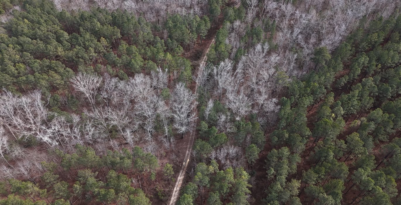 495 DJI 20260129140439 0148 D