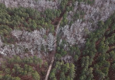 495 DJI 20260129140439 0148 D