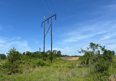 495 IMG 6727