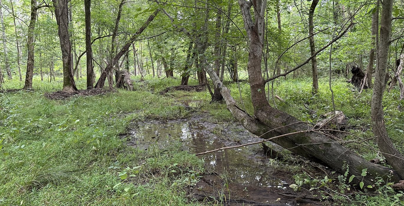 495 IMG 6926