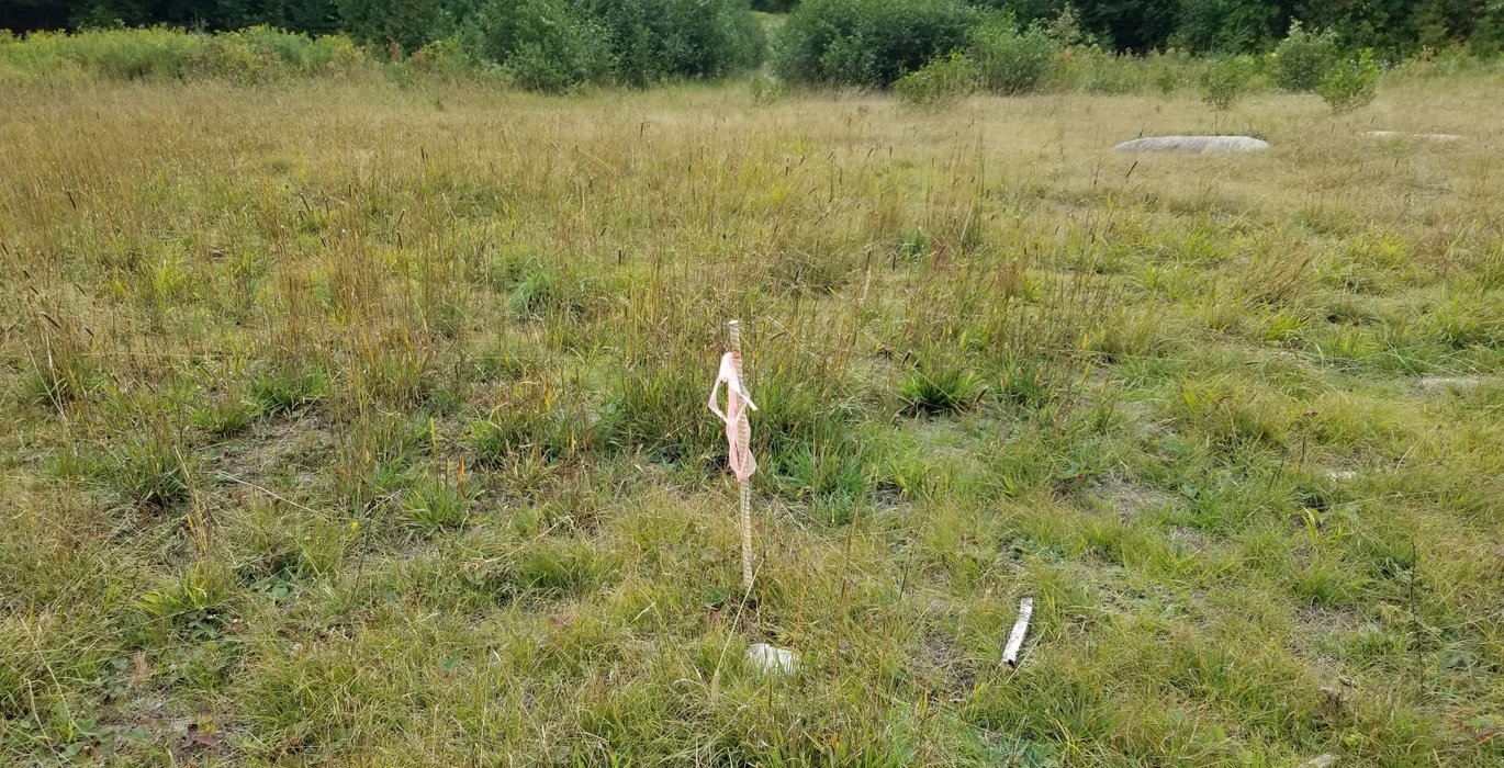 495 Pin at end of Beaver Lane in opening