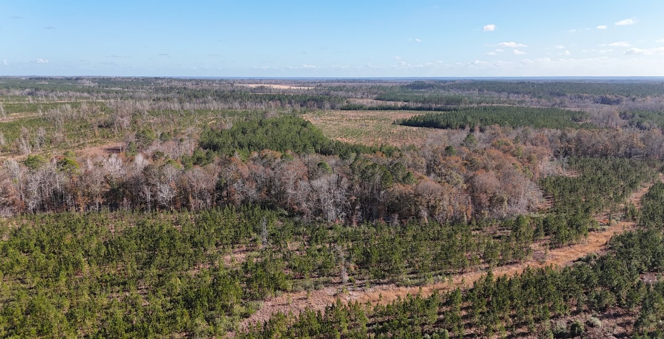 495 dji fly 20241216 133928 0044 1734391518049 photo