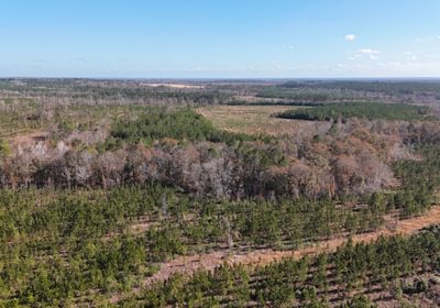 495 dji fly 20241216 133928 0044 1734391518049 photo