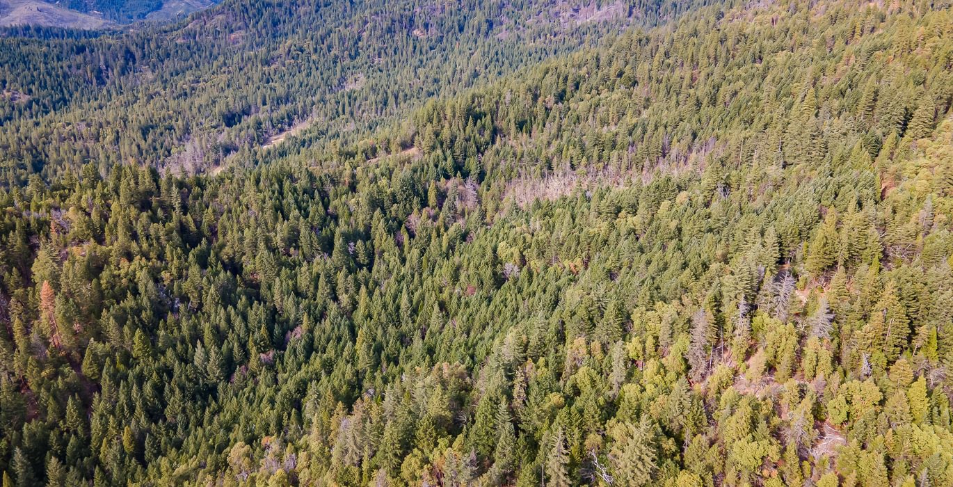 496 DJI 0774 HDR Image Merge