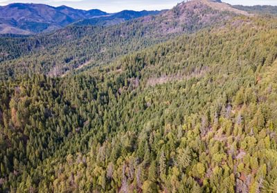 496 DJI 0774 HDR Image Merge