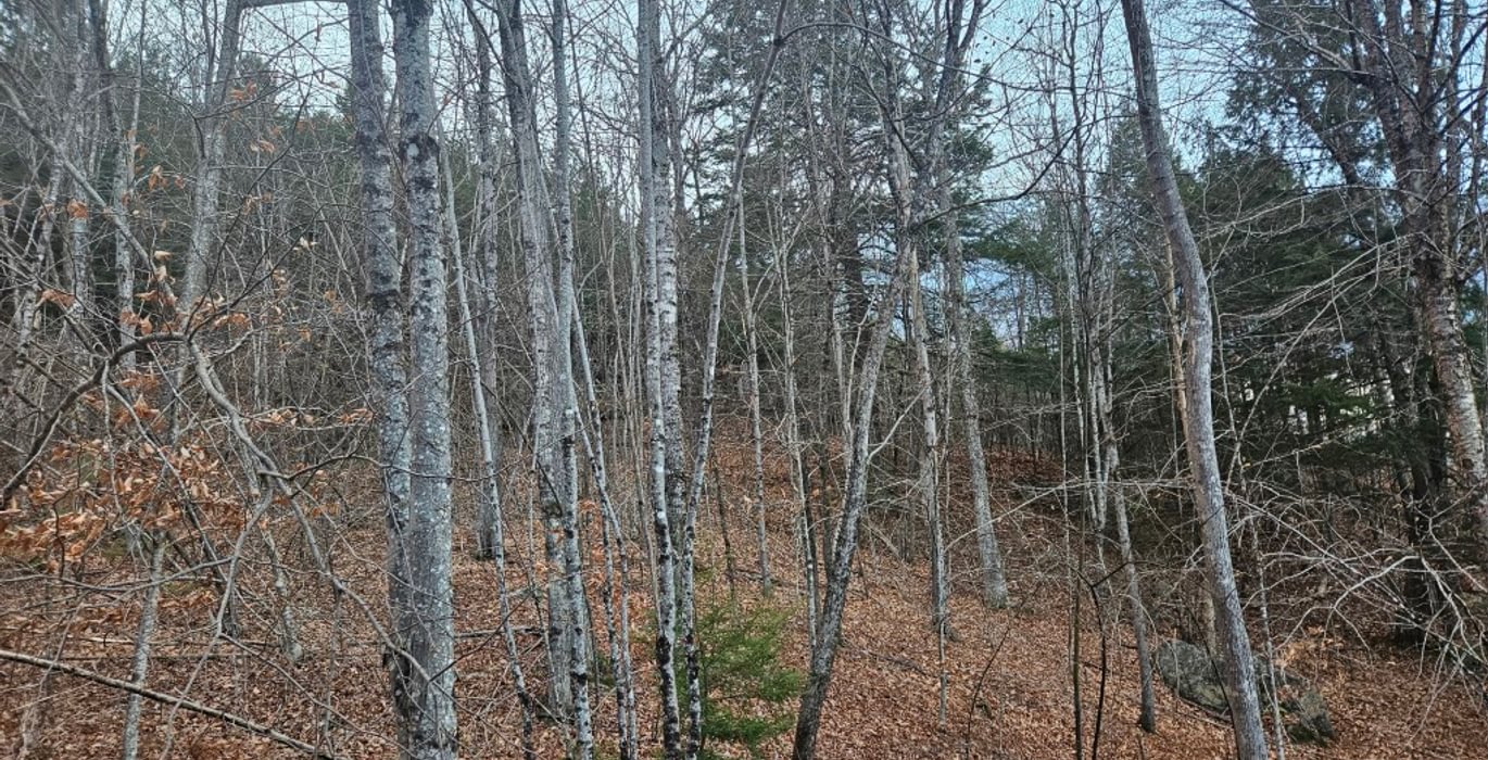 496 slope topography