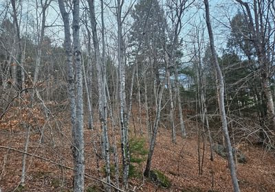 496 slope topography