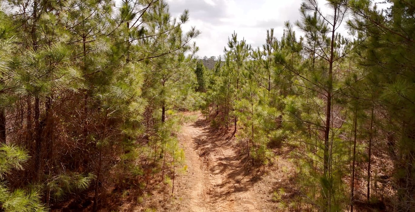 497 AFM Harrisville 68 Photo 24