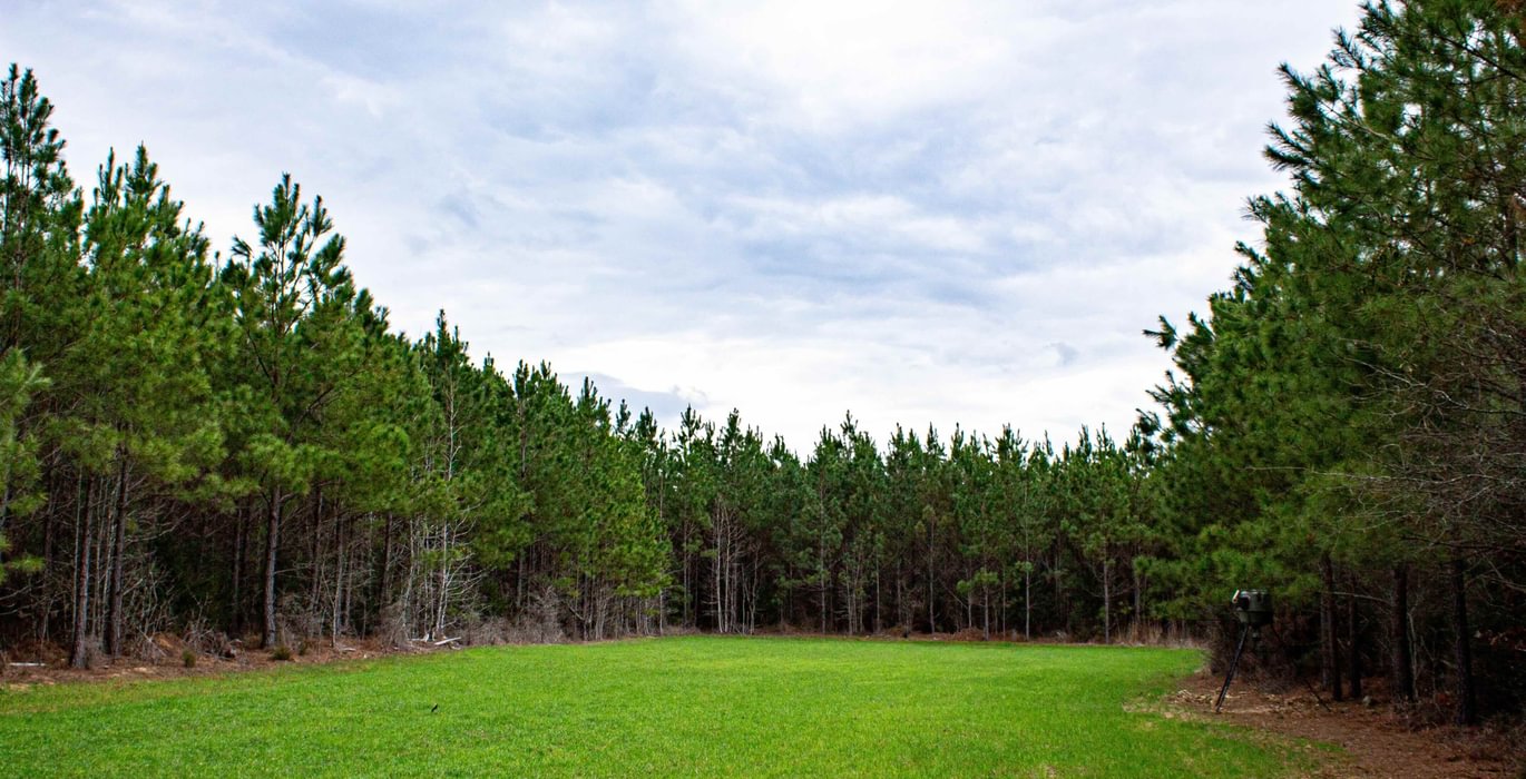 497 FORTLAWN IMG 6826