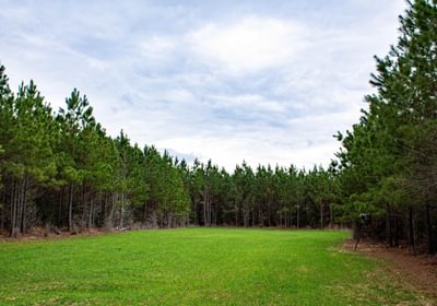 497 FORTLAWN IMG 6826