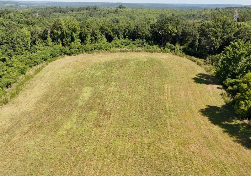 497 Horseshoe Road Photo 15
