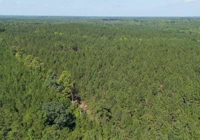 498 Cabin Creek Photo 13