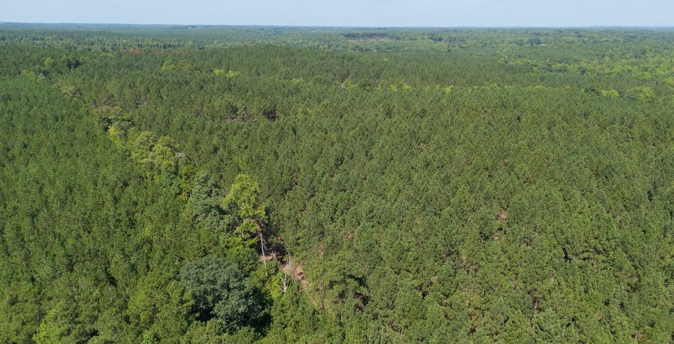498 Cabin Creek Photo 13