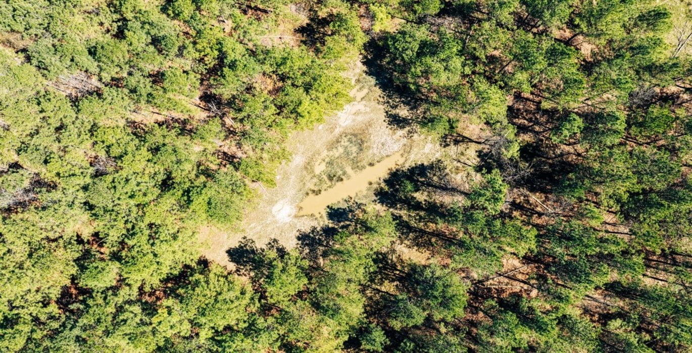 498 DJI 20260316131517 0061 D Medium