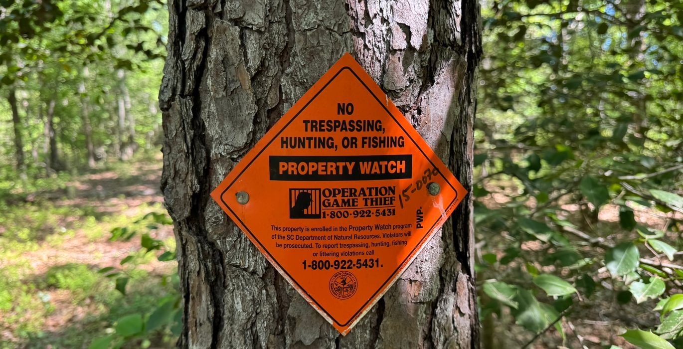 499 IMG 4254 Copy Copy