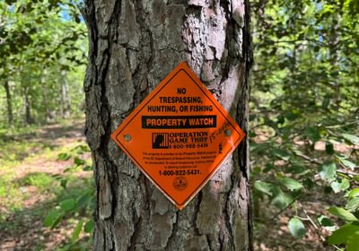 499 IMG 4254 Copy Copy