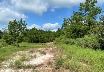 499 gum springs 19