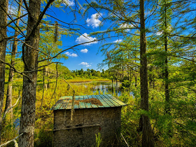 Photo 1 of Dellwood Farm, 75.86 acres, Jackson County, Florida