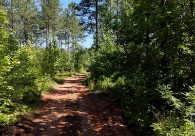 53 Horton Tract Photo 34