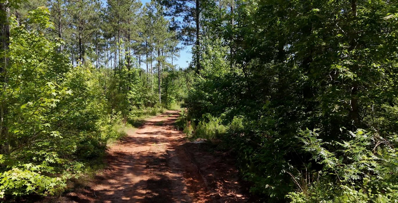 53 Horton Tract Photo 34
