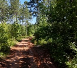 53 Horton Tract Photo 34