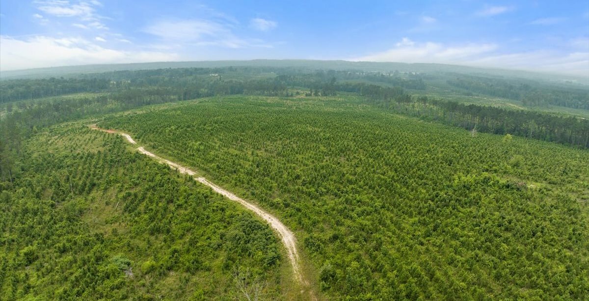 Photo 21 of L Jordan, 574 acres, Cherokee County, Texas