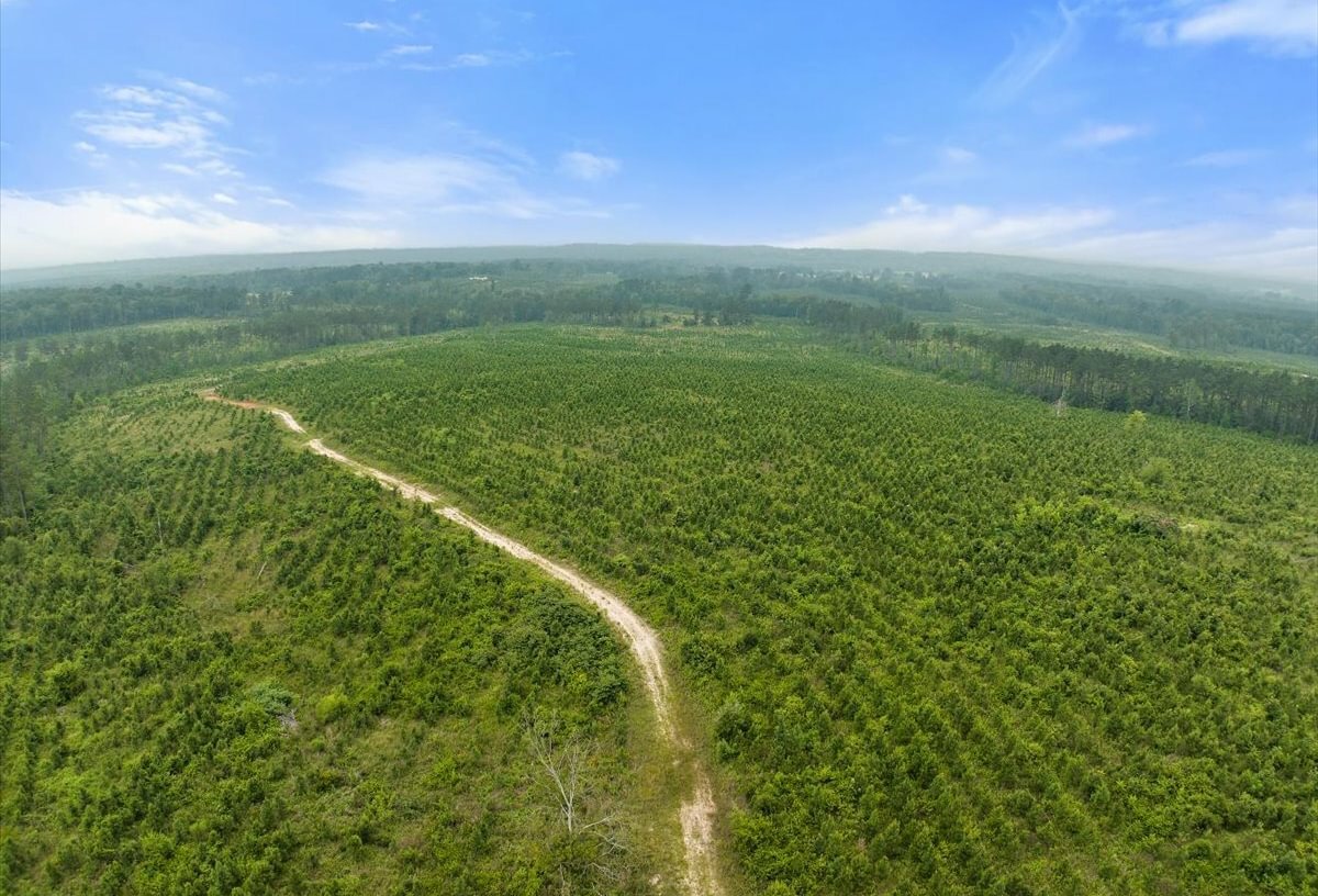Photo 21 of L Jordan, 574 acres, Cherokee County, Texas