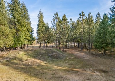 500 DJI 20260203095325 0028 D