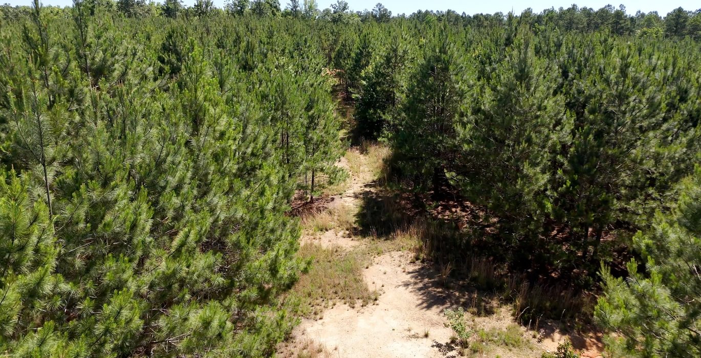 500 Horton Tract Photo 13