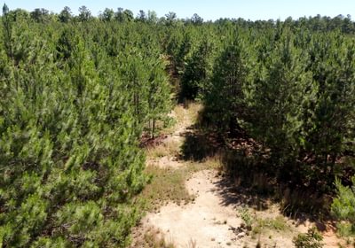 500 Horton Tract Photo 13