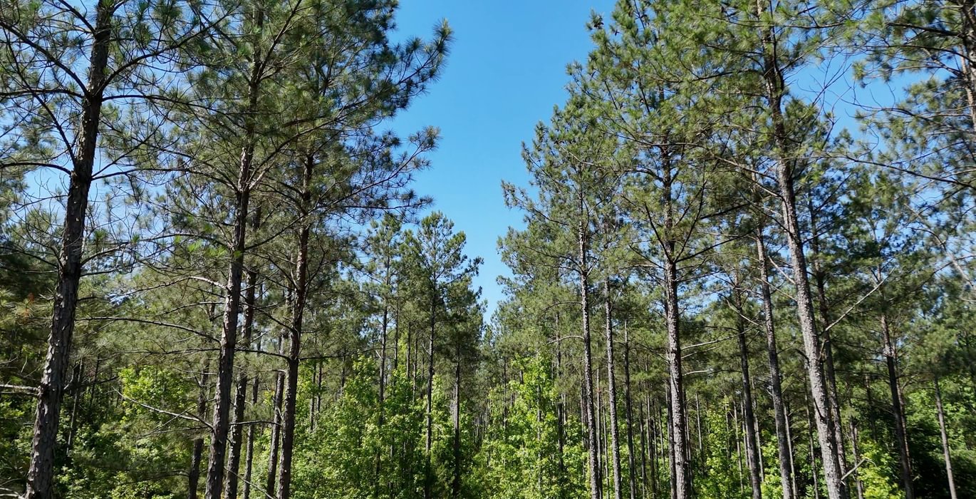 501 Horton Tract Photo 3