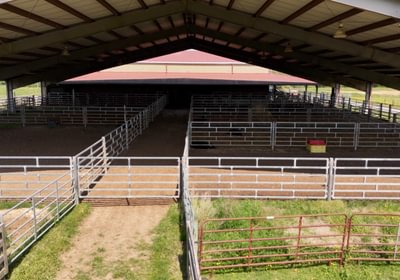 502 AFM Blue Q Ranch Photo 2