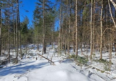 503 1 North lot