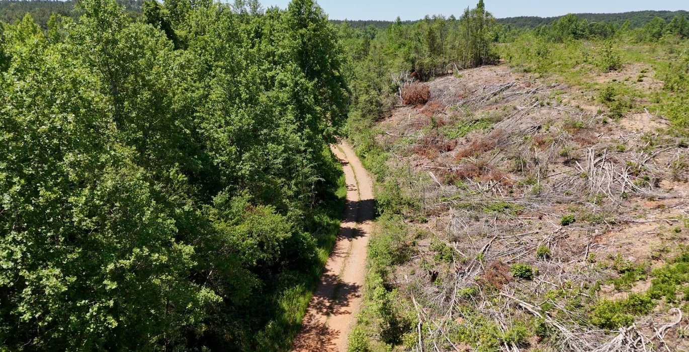503 AFM Big Mountain Creek Photo 11