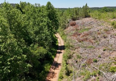 503 AFM Big Mountain Creek Photo 11