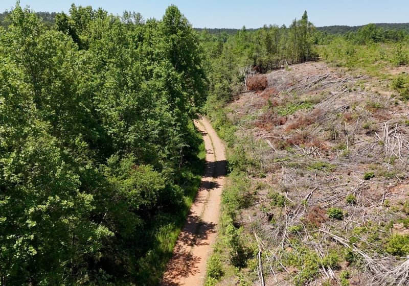 503 AFM Big Mountain Creek Photo 11