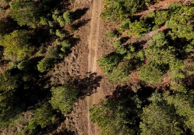 503 AFM Bladen 339 Photo 13