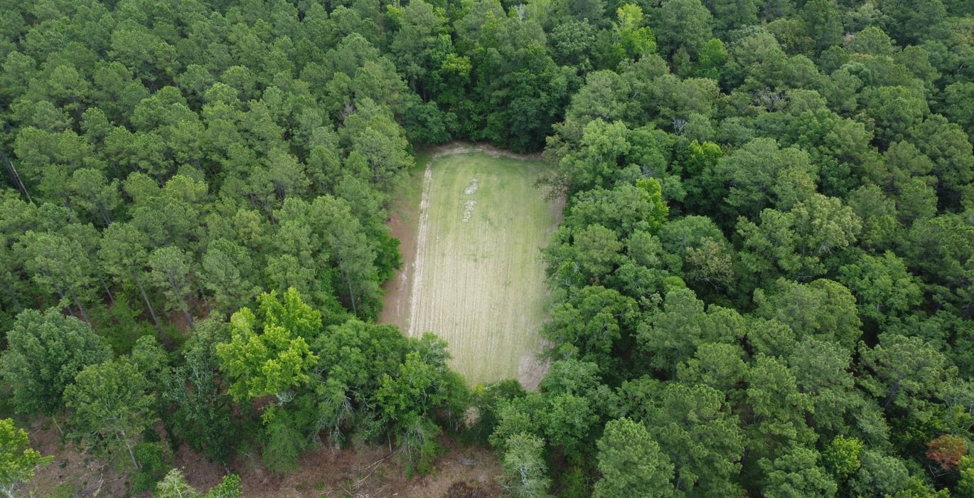 504 DJI 0424
