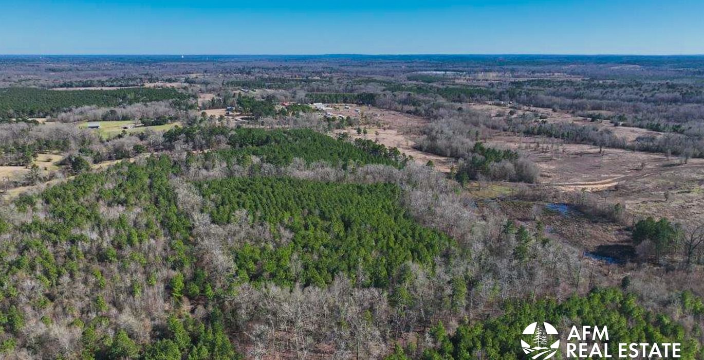 507 DJI 20250201142708 0012 V