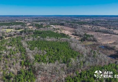 507 DJI 20250201142708 0012 V