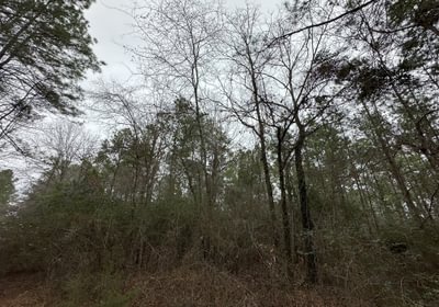 508 IMG 5604
