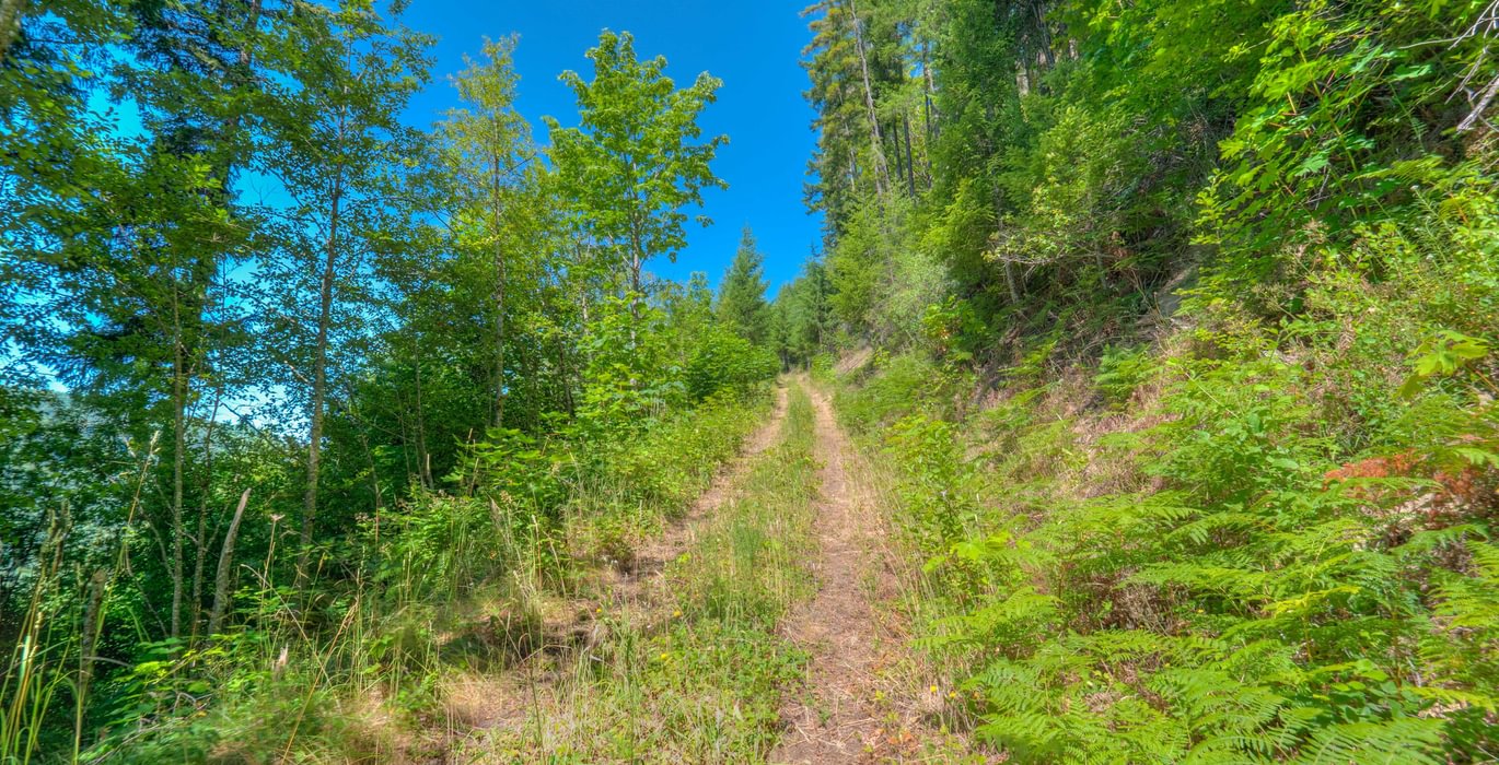 509 9 July 11 2025 P3077193 4 5 6 7 8 9hdr Beau Chevassus