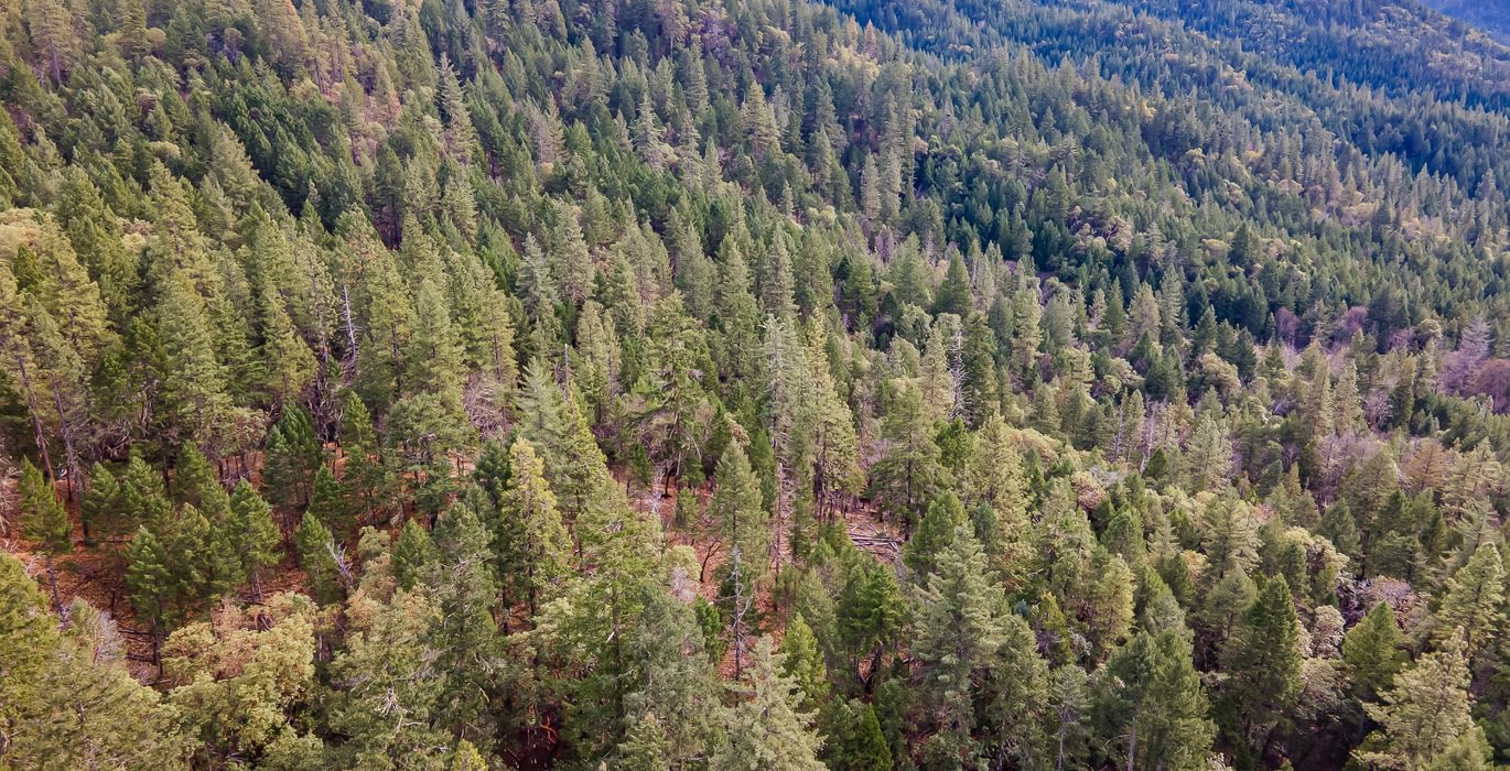 509 DJI 0842 HDR Image Merge