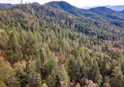 509 DJI 0842 HDR Image Merge